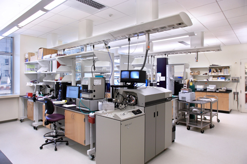 Lab